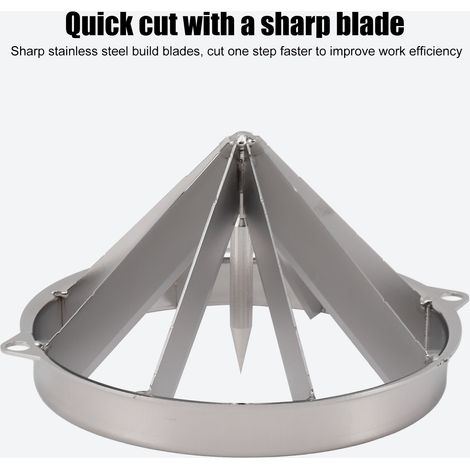 Lama tagliafrutta ergonomica staccabile, separatore in acciaio inox per mele, pere e arance, 8 sezioni (1/5)