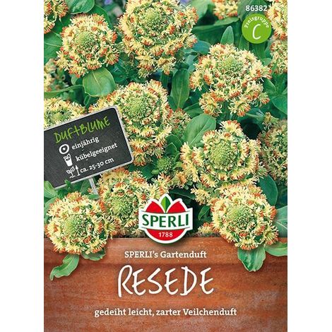Sperli Resede SPERLI´s Gartenduft - Blumensamen (1/4)