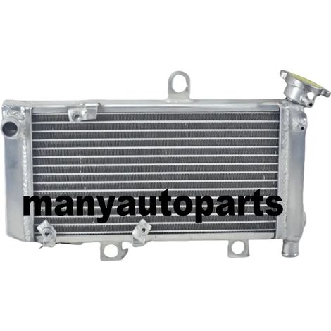 Radiateur en Argent pour Moteur, Capacité de Refroidissement Accrue, Conception Robuste, Soudure de Précision (1/5)