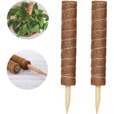 tuteurs, bâtonnets de cocotier, poteaux en cocotier pour plantes grimpantes de jardin, rallonge de support pour plantes (1/5)