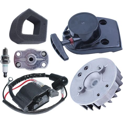 Pour pièce de moteur Honda GX35, kit de volant, 30500-Z0Z-013, 28400-Z0Z-315, 28400-Z3F-M01, 28451-Z0H-003 (1/5)