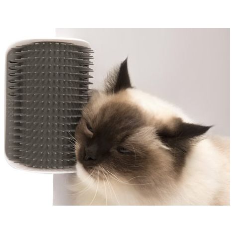 CATIT Senses 2.0 Brosse haute avec Catnip. Facleur de mur de chat