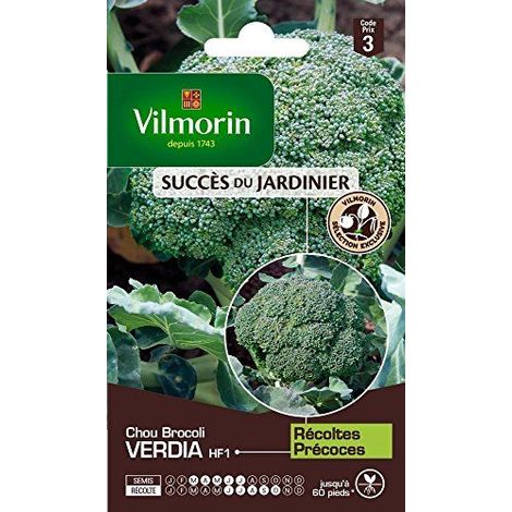 Sachet graines Sachet graines Chou Brocoli Verdia (1/3)