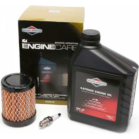 Kit entretien origine pour moteur Briggs & Stratton modèles 21, 21R5, 21R6, 21R7, 21R8, et séries 3 powerbuilt intek I/C OHV (1/4)