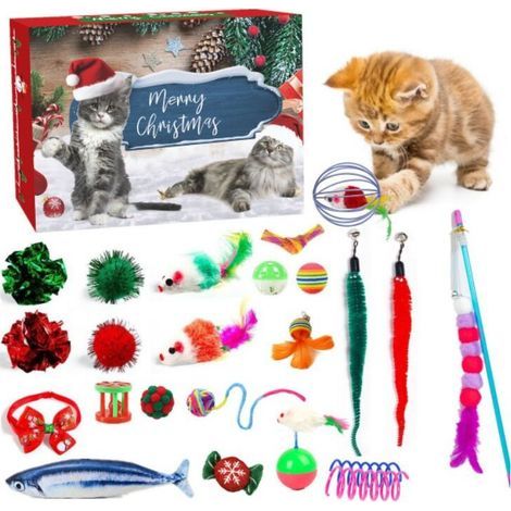 Calendrier De L Avent Pour Chat - 24 Jouets Interactifs - Stimule Instinct De Chasse - Idéal Pour Jeu En Intérieur - Lot De 1 (1/2)