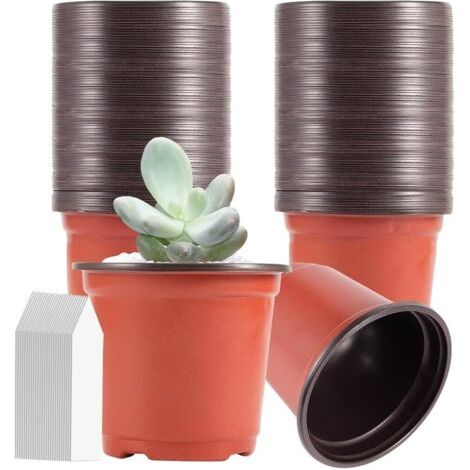 100 Pièces Pots de Plantes en Plastique,10cm Pots pour Semis avec 100 Petit étiquettes, Pots de Fleurs,Réutilisables Pots de Fleurs en Plastique Adapté Semis, Fleurs, Succulentes (1/5)