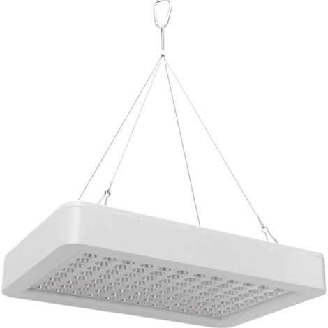 Lampe horticole LED 1000 W, panneau lumineux en ABS/PET à spectre complet, pour la croissance des plantes, idéale pour la maison et le jardin (100-277 V CA, prise UE). (1/5)