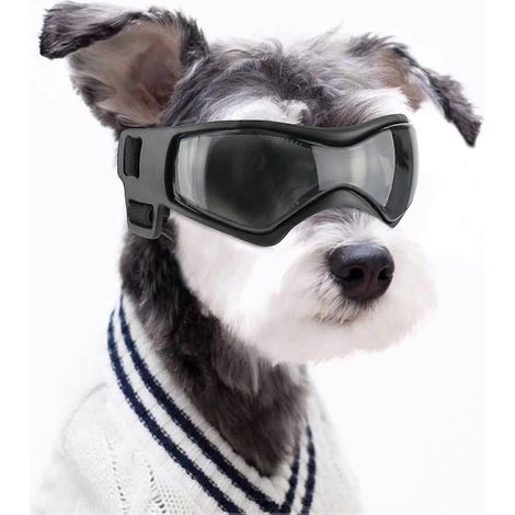 Filiyano-Lunettes de protection pour chien, lunettes de sécurité pour chien, protection UV, lunettes de soleil coupe-vent, anti-buée et anti-poussière (1/5)