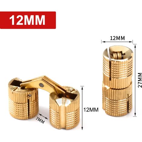 Charnière invisible (12 mm) en acier inoxydable, robuste, encastrée, pour porte de garage. (1/5)