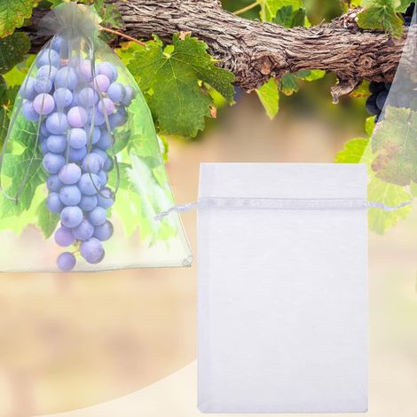 50 x Sachet de Protection Fruits Sac de Protection des Raisins Reusable Jardin Sac en Organza avec Cordon pour la Protection Contre Les Guêpes et Oiseaux, 30cm x 20cm, Blanc H198 (1/5)
