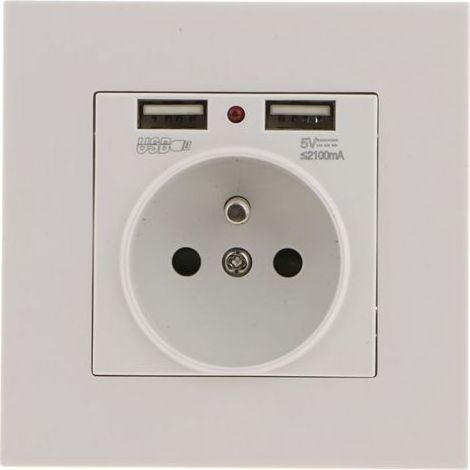 Prise Murale, Prise Electrique Murale avec Double USB 5V/2100mA, Prise Encastrable avec 2 Ports de USB Pratique et Manialble (1/5)