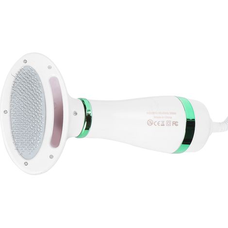 Sèche-cheveux portable 2 en 1 pour animaux de compagnie, avec température réglable, pour chiens et chats de petite et moyenne taille. Prise UE 220 V, vert.