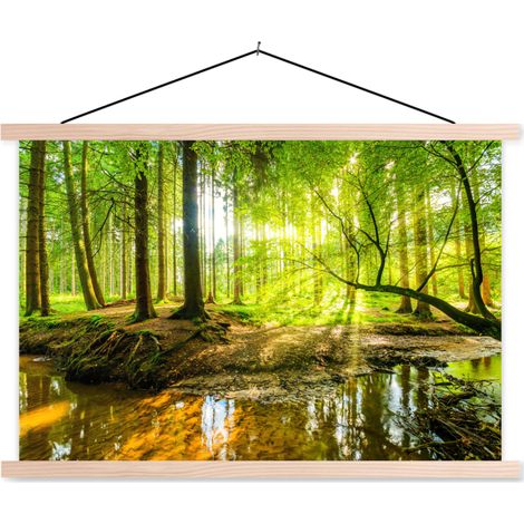 AFFICHE AVEC CADRE MAGNÉTIQUE Forêt - Paysage - Eau - Arbres - Soleil - Vert - Nature 60x40 (1/3)
