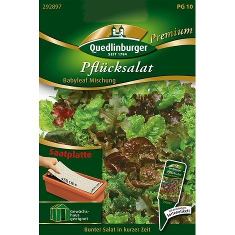 Quedlinburger Saatgut – Mélange de laitues à couper baby leaf – Graines de légumes, plaque de semis, pour env. 100 plants (1/2)