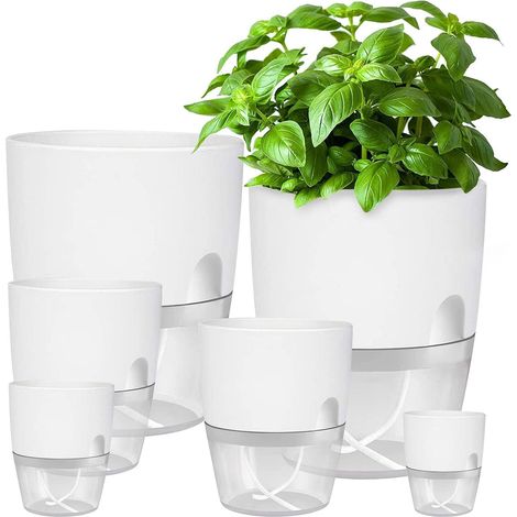 iDattel Selbstbewässernder Blumentopf Kräutertopf Set für die Küche 6er (1/5)