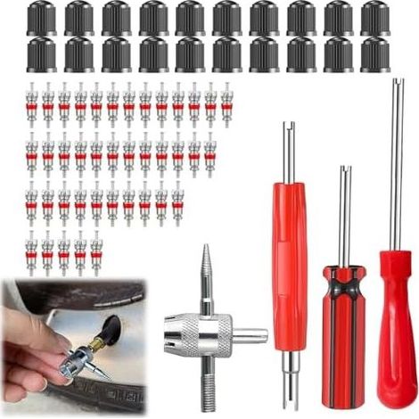 Kit di rimozione valvole per pneumatici da 64 pezzi con 40 nuclei valvola Schrader, 20 tappi valvola e 4 strumenti di rimozione, adatto per auto, moto, biciclette, camion, SUV, resistente - (1/5)