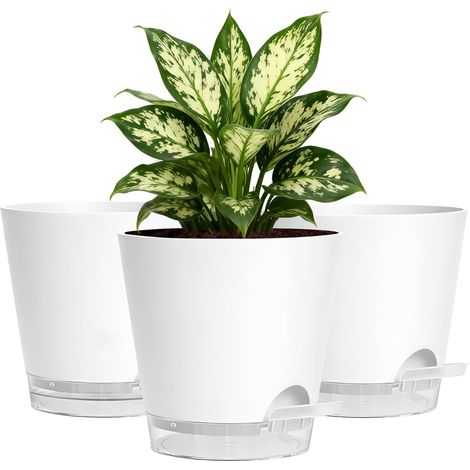 Lot de 3 pots de fleurs d'intérieur en plastique blanc de 15 cm avec soucoupes transparentes et trous de drainage, pots décoratifs modernes pour plantes d'intérieur, balcon, extérieur et (1/5)