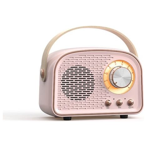 Enceinte Bluetooth radio rétro vintage - Enceinte stéréo sans fil avec radio FM - Design vintage - Enceinte sans fil Bluetooth 5.0 pour un son cristallin - Idéale pour la maison et l'extérieur - Rose