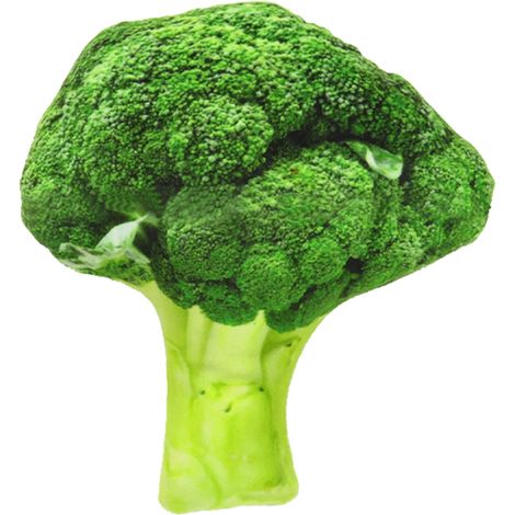 Plüsch-Hundespielzeug aus Canvas in Form eines Gemüses zum Kauen (Broccoli Dog Canvas) (1/2)