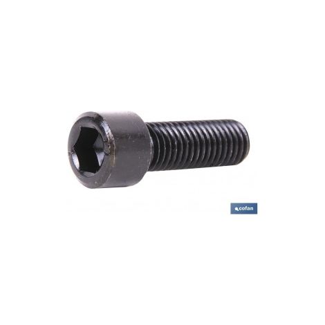 Pack mit 50 DIN 912 Innensechskantschrauben C-8.8 M-12 X 70 N