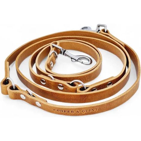 Laisse réglable multiposition pour chien en cuir pleine fleur coloris fauve 220 cm - PANGIVO