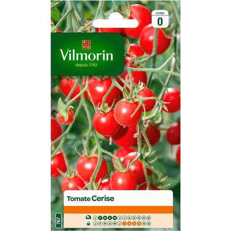 Multitanks – Sachet de graines tomate cerise – Semis en avril-mai – Récolte d'août à octobre – Plante compagne herbes aromatiques (1/2)