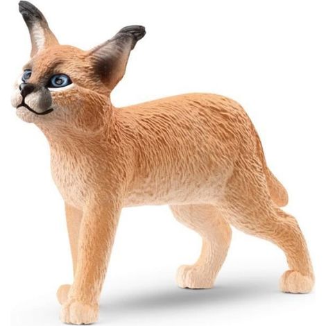 - Jeune Caracal - 14868 - Gamme : Wild Life