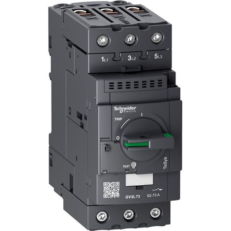 TeSys GV - disjoncteur magnétique - 73A - 3P - Everlink (1/2)