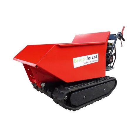 Mini dumper 560 TPH (1/5)