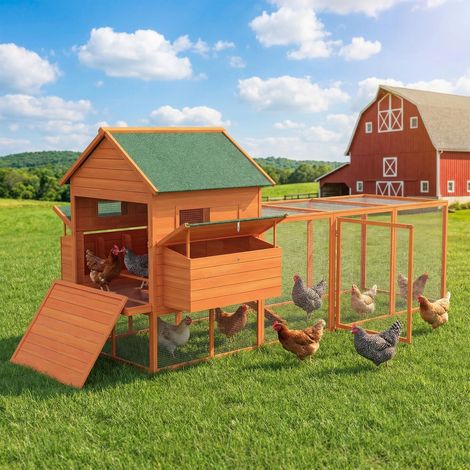 Gallinero de Madera Grande Exterior con 2 Nidos Corral Techo Asfáltico Bandeja Extraíble y Rampa 347x160x150 cm Naranja