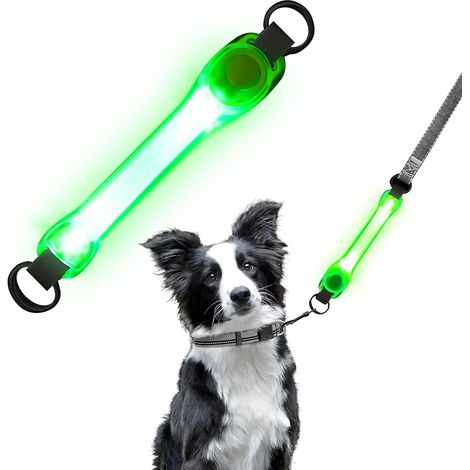 Laisse Lumineuse pour Chien, Etanche Clignotant Collier de Chien LED avec 2 Modes d'Eclairage, Colliers pour Animaux de Compagnie Lumineux Harnais Lumineux pour Chien Chats la Nuit (1/5)