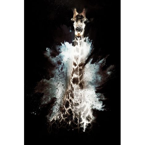 Tableau wild explosion girafe Toile imprimée (1/5)