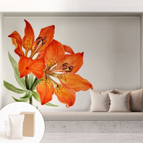 Fototapete Tapete Vliestapete mit Kleber - Wandtattoo - leicht anzubringen - Wandverkleidung Orangefarbene Lilie 208x146 cm (1/5)