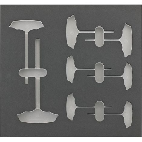 Module d'outils 2/3 vide pour tournevis T 6 cotés FORTIS