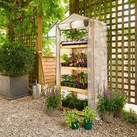 Westland Grow It Premium Wooden Growhouse GreenHouse 4 Tier FSC-100% (1/5)