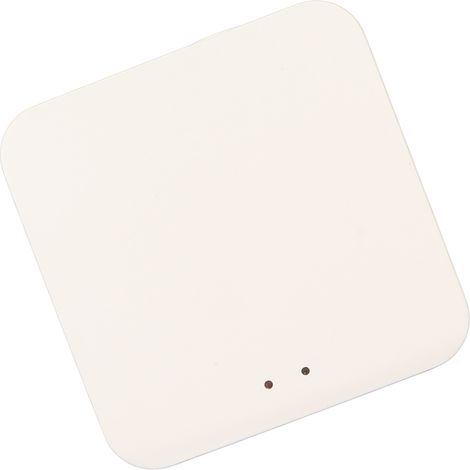 Passerelle intelligente pour Tuya, centre de contrôle vocal et télécommande intelligente, pont Wi-Fi pour Google Assistant (1/5)