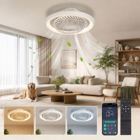 ROSNEK Ventilateur de plafond lumineux LED 49 cm 6 vitesses avec télécommande et application plafonnier ventilateur Blanc 1 pièce (1/5)