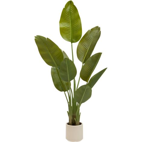 Albero di banane artificiale lora h140 cm con vaso bianco - Atmosphera créateur d'intérieur (1/3)
