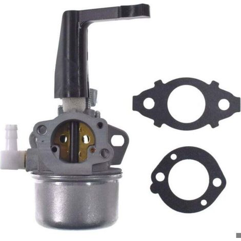 Carburateur - 696065 - Pour Moteur Horizontal Briggs Stratton 110402 110412 - Kit Joint Inclus - 1 Pièce (1/4)