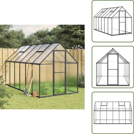 The Living Store Serre avec cadre de base anthracite 334x169x195 cm aluminium - Serre De Jardin - Serre Aluminium - Serre Portable - Serre Polycarbonat - Abri Jardin