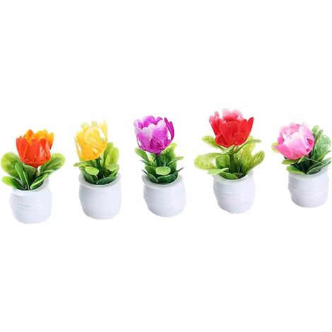 5 pots à orchidées transparents avec plateau XXX