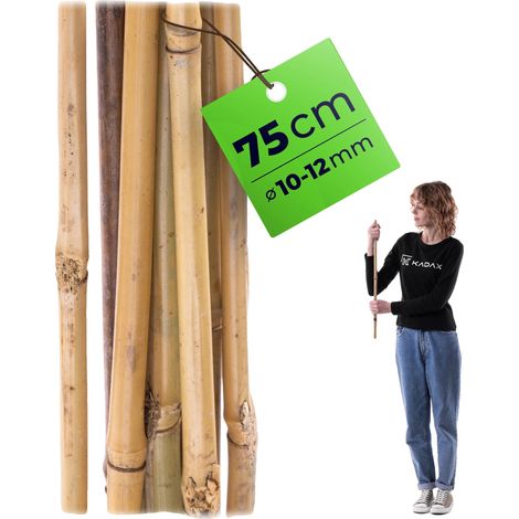 Estaca de bambú para plantas, material natural, 75 cm de alto, 12 mm de diámetro, ligera para mayor estabilidad, sirve de soporte para tomates y plantas con flores. (1/5)