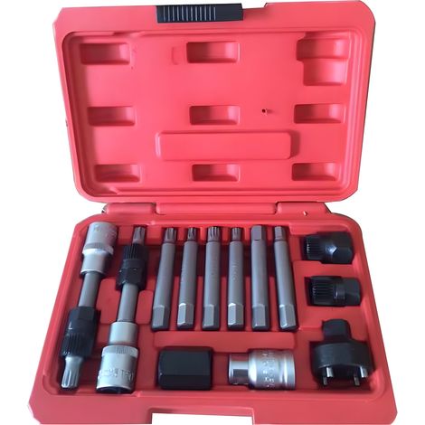 Coffret Outils démontage Poulie Alternateur débrayable multimarques torx btr 13pcs