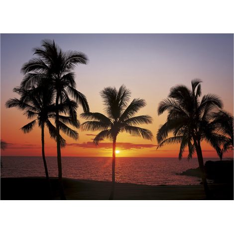 Komar Wandtapete - Hawaii - 254 x 368 cm - Papier Motivtapete - Modern (1/2)
