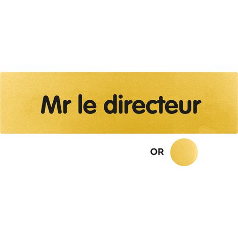 Plaque de porte Mr le directeur - Classique or 170x45mm - 4490861