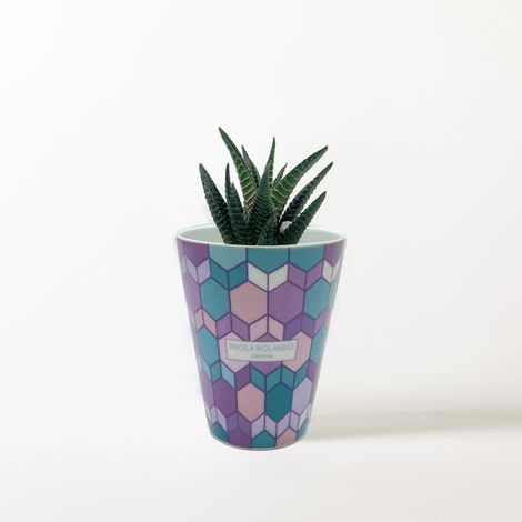 Plante grasse vivante en pot céramique artisanale Hula-Hop Alto - Lilas