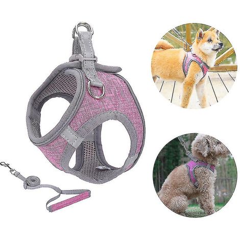 Harnais pour petit chien, harnais pour chiot, ensemble harnais et laisse souples avec collier réfléchissant - XXXS (1/3)