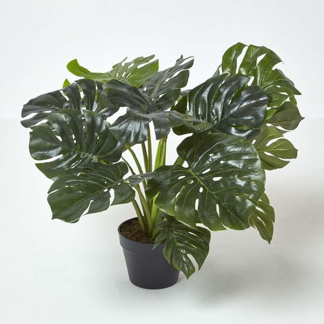 HOMESCAPES Monstera Kunstpflanze im Topf - 60 cm