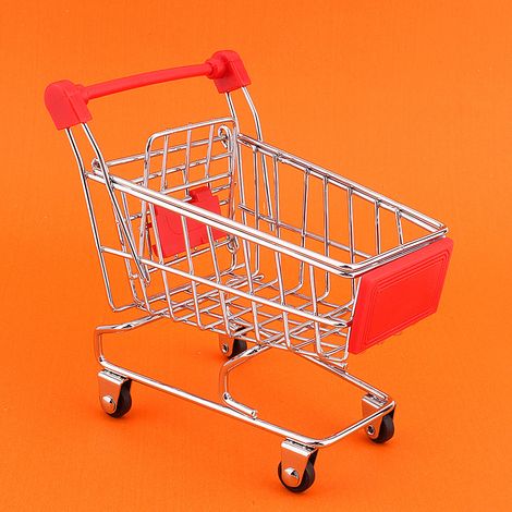 Mini chariot de supermarché, jouet pour animaux de compagnie, oiseau perroquet, développement de l'intelligence (1/5)