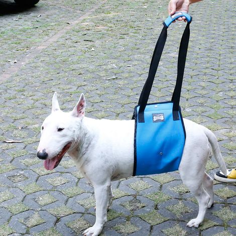 Filiyano-/Harnais de soutien pour chien, harnais d'aide à la marche et de levage V/